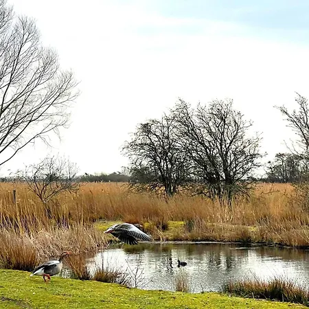 B04 Jack Rackham Prázdninový dům Fehmarn