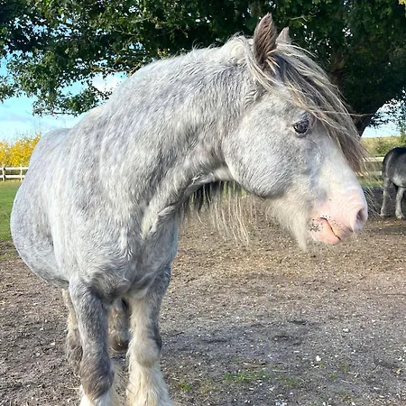B04 Jack Rackham Prázdninový dům Fehmarn