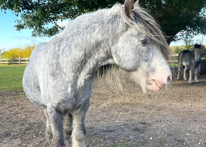 B04 Jack Rackham Dom wakacyjny Fehmarn